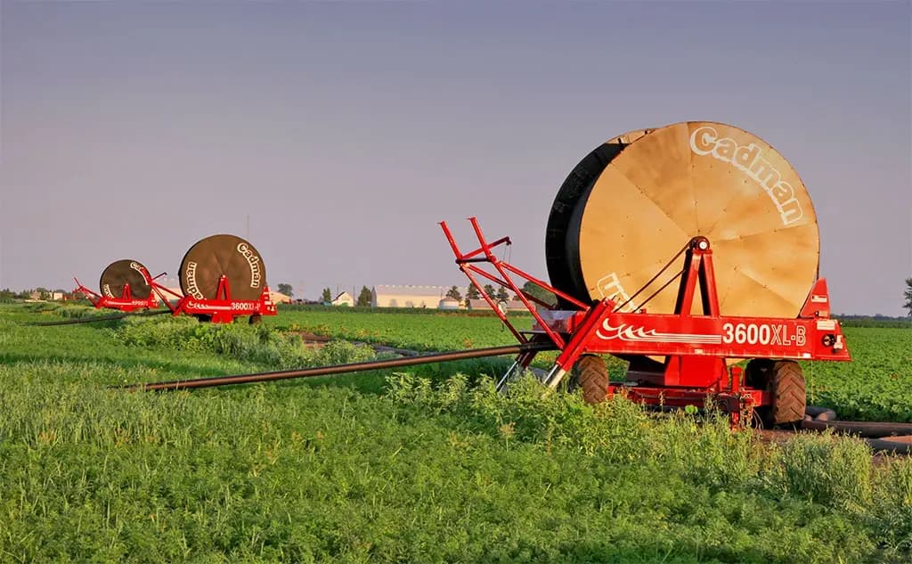 Irrigation