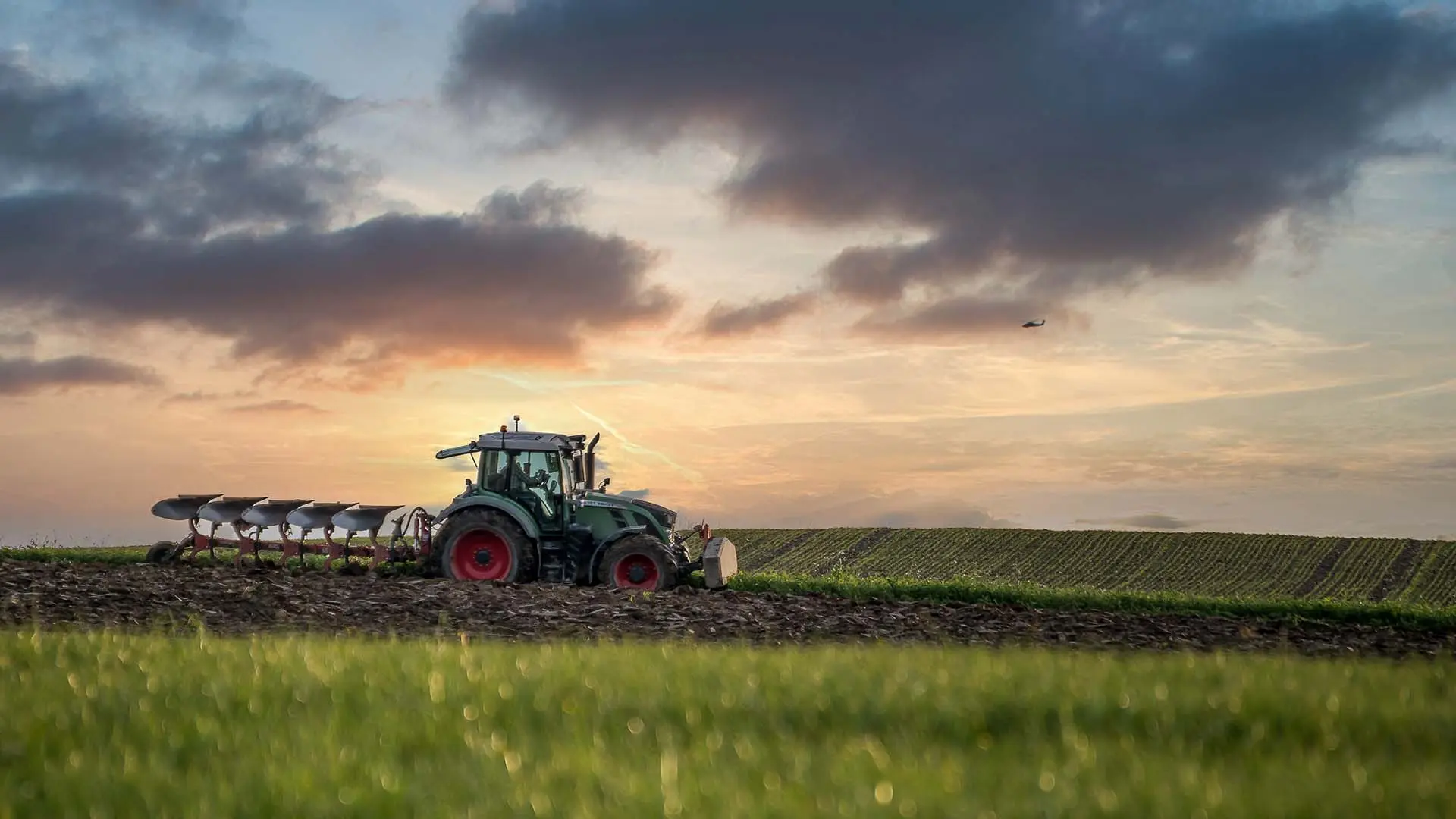 50 Years in the Field - Serving Farmers since 1976